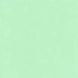 Holbein Acrylic Gouache 40 ml Pale Mint
