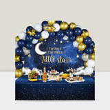 Twinkle Twinkle Little Star Shower Decorations With Balloon Arch Kit