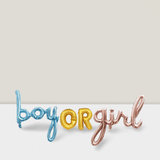 Gender Reveal Backdrop and Foil Balloons for Shower Party Decorations