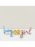 Gender Reveal Backdrop and Foil Balloons for Shower Party Decorations