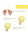 129Pcs Pastel Yellow Balloon Arch Kit Mixed Sizes For Birthday, Wedding & Party Decor