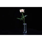 Shaped Acrylic Rose Display Stand, Single Real Rose Flower Or 24K Artificial Flower Transparent Base Rose Shelf Support Room Decoration(Shaped)