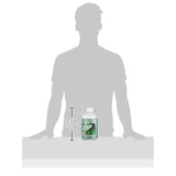 Eucalyptus Mint Large Glass Apothecary Jar Scented Candle, 21.25 Oz, Green