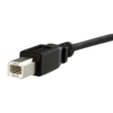 1 Ft Panel Mount Usb Cable B To B - F/M - Usb Type B (F) To Usb Type B (M) - U