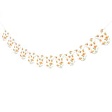 Little Cutie Bodysuit Banner Citrus Decorations "Little Cutie On The Way" Baby Shower Decor