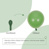 110Pcs Sage Green Balloons - 18, 12, 10, 5 Inch Sage Green Balloon Arch Kit For Wedding, Engagement, Bridal Shower, Baby Shower, Birthday Party Decorations