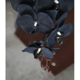 8 Heads Faux Black Orchid,40" Bouquets 2 Stem Phalaenopsis No Fade Petals Fake Flowers Forever Plants For Home Decoration, Office Decor,Wedding Party Decoration