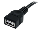StarTech 6-ft USB A Male to USB A Female Extension Cable, Black USBEXTAA6BK