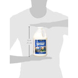 Decoart Clear Pouring Topcoat 64oz