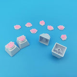 4 Pack Custom Oem R4 Keycaps Pbt Mechanical Keyboard Keycaps Cute Cat Paw Key