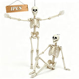 5.75ft Life Size Posable Halloween Skeleton, Movable Joints