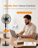 2 Pack Smart Plug, Wifi Smart Outlet With Dual Sockets, Compatible With Alexa And Google Home, Remote Control Outlet With Timer Function, Voice Control, Surge Protection, 2.4Ghz Wifi Only
