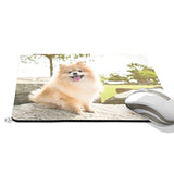 Dog Pomeranian Spitz Smiling Mouse Pad Smooth Surface Gaming Pad Thick Non-Slip Rubber Base Colorful Cute Design Art Artist Painting Unique Novelty Gift For School Office Game