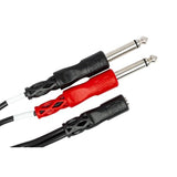 Ymp-434 3.5 Mm Trsf To Dual 1/4" Ts Stereo Breakout Cable