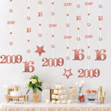Pink Rose Gold Sweet 16 Party Decorations For Girls, Pre-Strung Glitter Twinkle Number 2009 16 Years Old Hanging Streamer Banner Party Supplies, Pink Happy 16Th Birthday Gifts Decor
