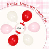 Cherry Birthday Decorations Red, Pink, White Balloons & Fringe Curtain Banner