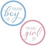 60Pcs Team Boy Or Girl Gender Reveal Stickers, 2 Inch Pink Or Blue Baby Shower Stickers, Gender Reveal Decorations For Party Games Supplies