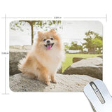 Dog Pomeranian Spitz Smiling Mouse Pad Smooth Surface Gaming Pad Thick Non-Slip Rubber Base Colorful Cute Design Art Artist Painting Unique Novelty Gift For School Office Game