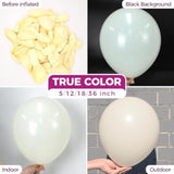 Ivory White Balloons Latex Party Balloons - 100 Pack 12 Inch Round Helium Cream Beige Balloons For Wedding Birthday Gender Reveal Easter Tea Boho Decorations