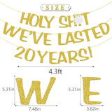 Holy We'Ve Lasted 20 Years Banner, 20Th Wedding Anniversary Party Decorations, Funny Decor For Him Her Husband Wife Parents, Pre-Strung, Gold Glitter