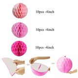 30Pcs 4Inch Pom Poms Tissue Paper Honeycomb Balls Flower Ball Wall Decor Pom Poms Decoration For Birthday Party Wedding Nursery Shower (Pink Set, 30Pcs-4Inch)