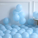 Ocean Party Balloon Garland Kit: Shark & Clownfish Birthday, Baby Shower