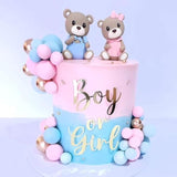 Bear Cake Toppers & Gender Reveal Balls Boy/Girl Shower Party Decorations