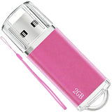 2Gb Usb Flash Drive 1 Pack Thumb Drives Zip Drive Usb 2.0 Jump Flash Drive Memory Stick 2Gb With Lanyards (Pink)