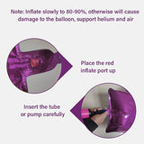 Gold 22Nd Birthday Decorations Kit, Cheers To 22 Years Banner Balloons