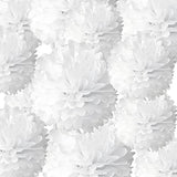 White Tissue Paper Pom Poms 12Pcs- Hanging Paper Flowers for Wedding Birthday Graduations Christmas and Special Occasions(10 & 12 inch)