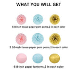 Gender Reveal Decorations Blue Pink - 15pcs Tissue Paper Flowers Pom Poms Lanterns Baby Gender Reveal Party Supplies Gender Reveal Theme Decor Gold Birthday Hanging Decor Ideas