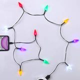 Led Christmas Light Phone Charger Cord Usb Charging Cable Gift For Phone 14/13/12/11 Pro/Xs/Xs Max/Xr/X/8 Plus/ 8/7 Plus/7S Plus/6S/6/5S/5C/5Pad With 10 Lights Christmas Decorations (Black)