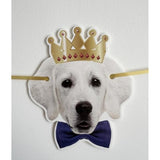 Funny Dog Birthday Garland Puppy Face "Happy Birthday" Bunting Banner Decor