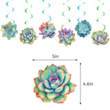 Succulent Plants Birthday Party Decorations Succulent Plants Party Sup