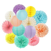 Pastel Rainbow Party Decorations Streamers - 14Pcs Boy Girl Kids Birthday Supplies,Pink Yellow Blue Paper Lanterns Fan,Tissue Pom Poms,Honeycomb Balls, Baby Shower Wedding Decor