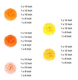 Paper Pom Poms, 25 Pcs of 6, 8, 10, 12, 14 Inch Flower Balls, Tissue Hanging Paper Pom Poms for Birthday, Wedding, Baby Shower Party Decorations (Orange)