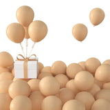 100 Pack 5 Inch Matte Beige Latex Balloons Helium Balloons For Birthda