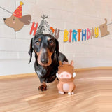 Dachshund Dog Birthday Garland - Long Sausage Wiener Dog Puppy Party Banner And Dog Lover Party Decorations Supplies