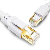 Cat8 Ethernet Cable 100Ft, 40Gbps High Speed Sftp 2000Mhz Gigabit Internet Net
