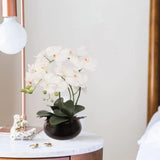 18" White Phalaenopsis Orchid Flowers In Black Ceramic Round Vase, Realistic Silk Flowers & Latex Foliage, Table Floral Arrangements, Home & Office Decor