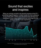 Trn St1 In Ear Monitors 1Dd + 1Ba Dual Driver, Hifi Earphones With 1Dynamic And Balanced Armature Drivers Earbuds (No Mic, Black)
