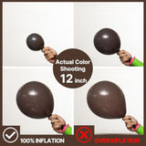 Dark Brown Balloon Arch Kit: Neutral Coffee Garland, Fall Party Decor