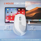 M7 Bluetooth Mouse, Rechargeable Dual Mode Bt5.1+ 2.4Ghz Usb Silent Wireless Mouse With Type C Adapter & Battery Indicator, Ergonomic Design For Laptop, Ipad, Macbook-White And Grey