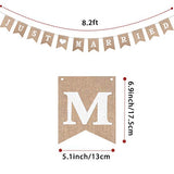 Just Married Banner with LED Fairy String Light, 2 Modes, 8.2 ft