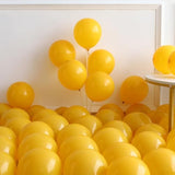 182PCS Fall Balloon Arch Kit with Orange Red Green Yellow Gold Balloons for Party