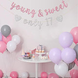 Young & Sweet Only 17 Banner - Happy 17Th Birthday Party Decor For Girls - Cheers To 17 Years Party Decorations Supplies, Pink & Silver Glitter