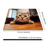 Cute Cat Square Mouse Pads For Wireless Mouse,Small Office Computer Mousepad For Desk Laptop,Non-Slip Rubber Base Mouse Pads For Desk Laptop Computer