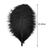 24Pcs Natural Black Ostrich Feathers 10-12Inch (25-30Cm) For Wedding Party Centerpieces?Flower Arrangement And Home Decoration.