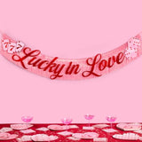 Lucky in Love Fringe Banner, Red Foil & Pink Iridescent 5ft Party Decoration