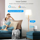 16A Mini Wifi Smart Switch Relay Module Compatible With Alexa & Google Home, Ewelink App Remote Control, Voice & Timer Schedule For Light, Fan, No Hub Required
